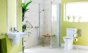 Read more about the article Luxury Handicap Showers for Aging in Place: Accessible & Stylish